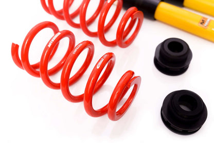 MTS Technik 94-02 Audi A8, A8 Quattro Coilover Suspension Street - MTSGWAU22