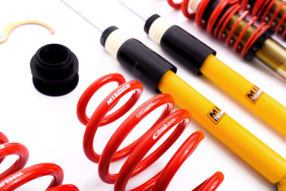 MTS Technik 97-05 Audi A6, VW Passat Coilover Suspension Street - MTSGWAU38