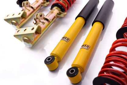 MTS Technik 94-98 BMW 3-series E36, 95-03 Z3 Coilover Suspension Stance - MTSGWBM02-S
