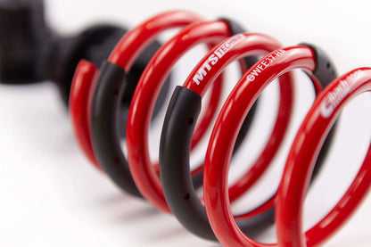 MTS Technik 03-12 Ford Focus, Mazda 3, Volvo C30, S40, V50 Coilover Suspension Street - MTSGWFO01