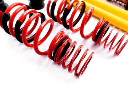 MTS Technik 10-20 Ford Focus, 12-19 Volvo V40 Coilover Suspension Street - MTSGWFO08